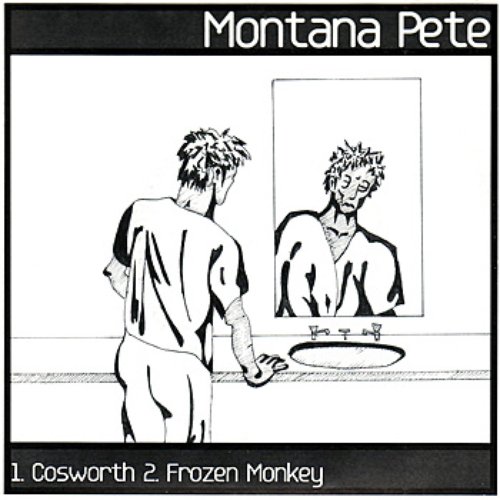 Cosworth - Frozen Monkey