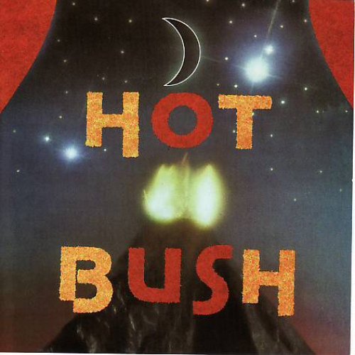 Hot Bush Videos