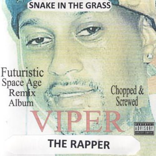 Snake In The Grass