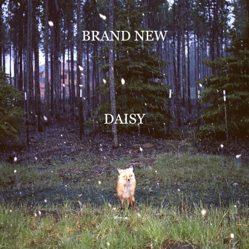 Daisy (Amazon Exclusive Version)