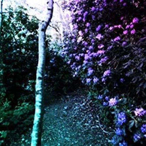 Pessimists Lullaby EP