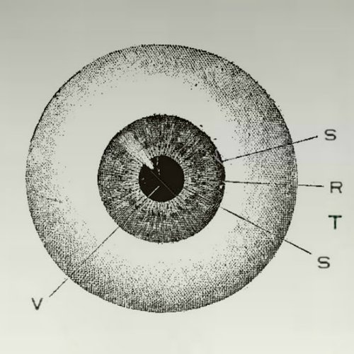 VSTRS
