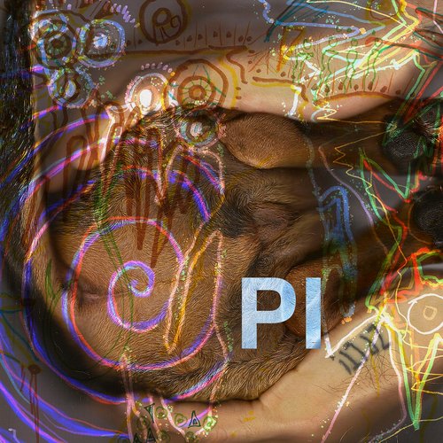 PI