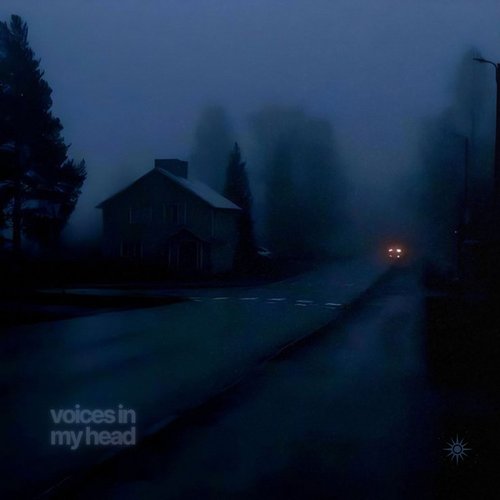 voices in my head