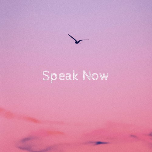 Speak Now (Piano Instrumental)