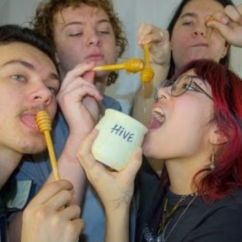 Hive