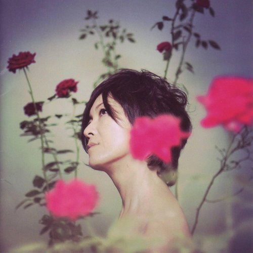 花の名前