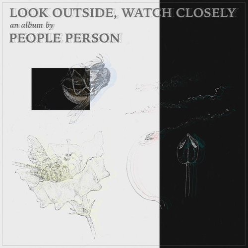 Look Outside, Watch Closely