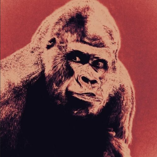 Pure Kafka [Explicit]