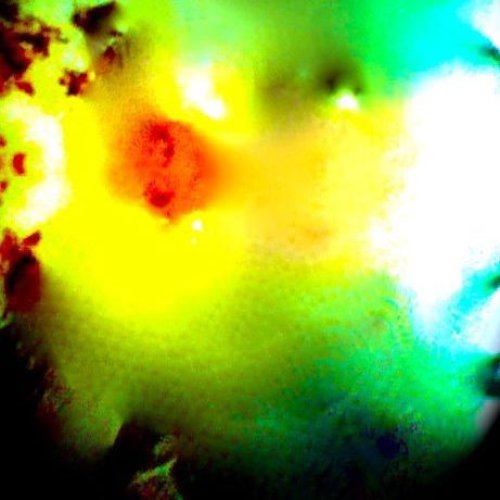 Nepenthian Music