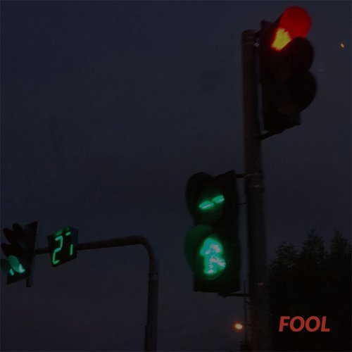 Fool