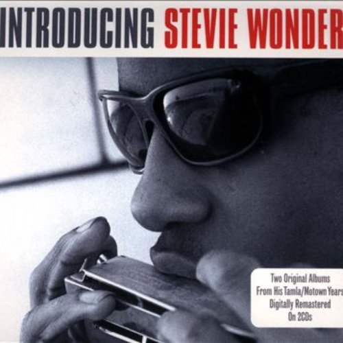 Introducing Stevie Wonder