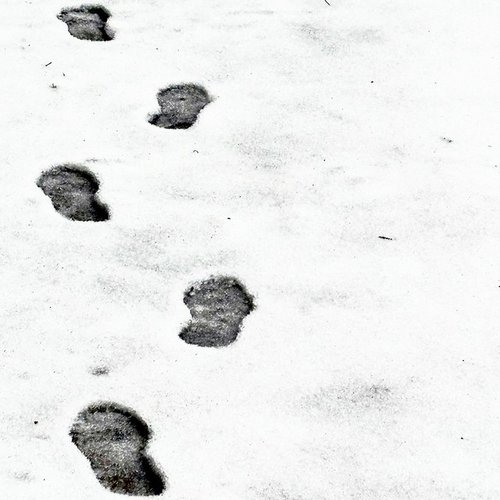 33° - Single