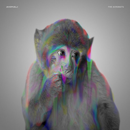 The Acrobats - Single