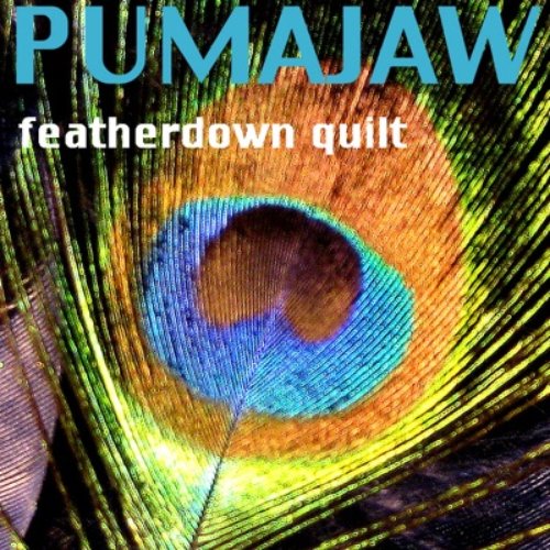 Featherdown Quilt