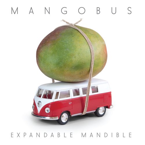 Expandable Mandible