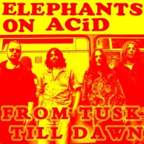 From Tusk Till Dawn