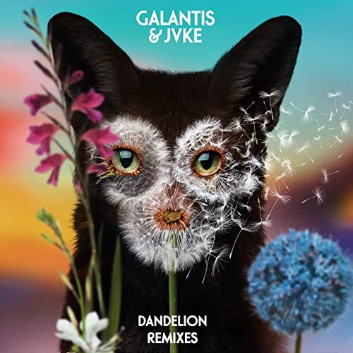 Dandelion (Remixes)