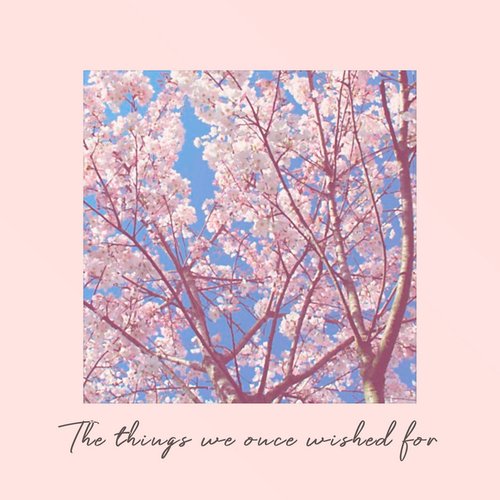 The Things We Once Wished For - EP