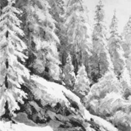 Cryptic Winter