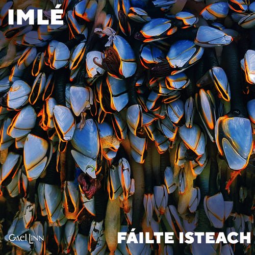 Fáilte Isteach