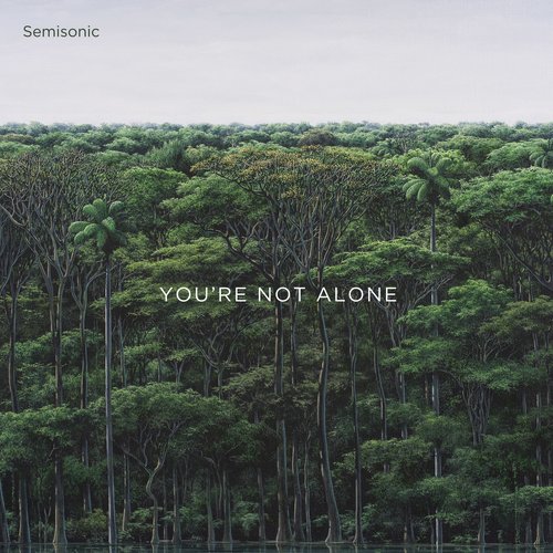 You're Not Alone - EP