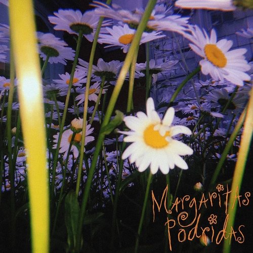 Margaritas Podridas
