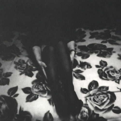 In The Shadows