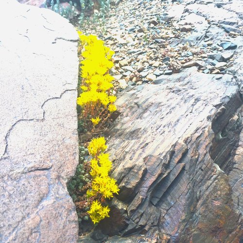 Songs About Grieving