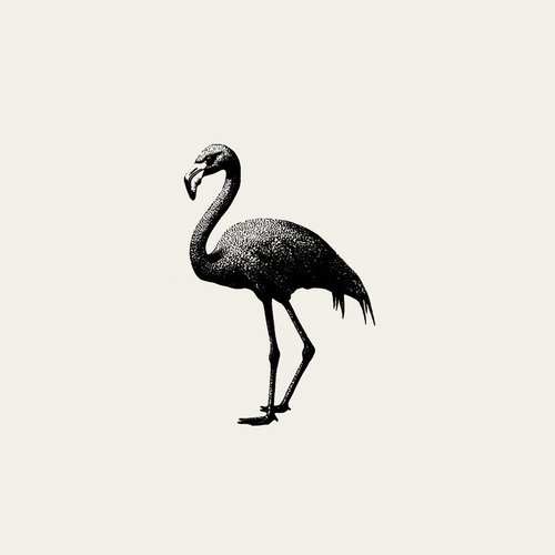 EP - Single