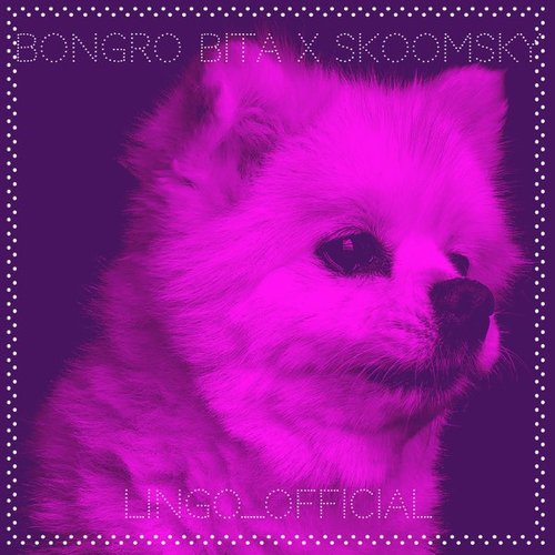 Bongro Bita X Skoomsky - Single