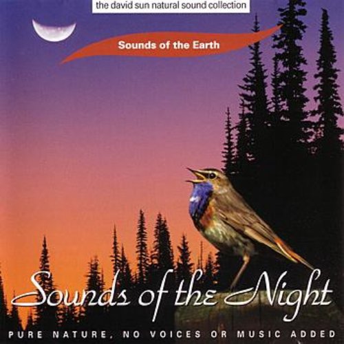 Sounds Of The Night
