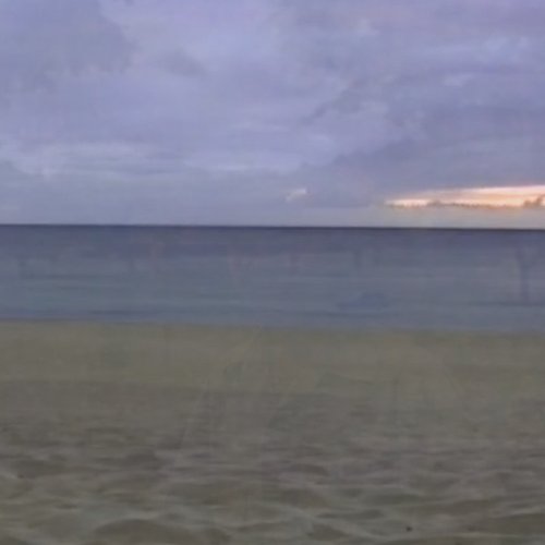 Figure The Shoreline