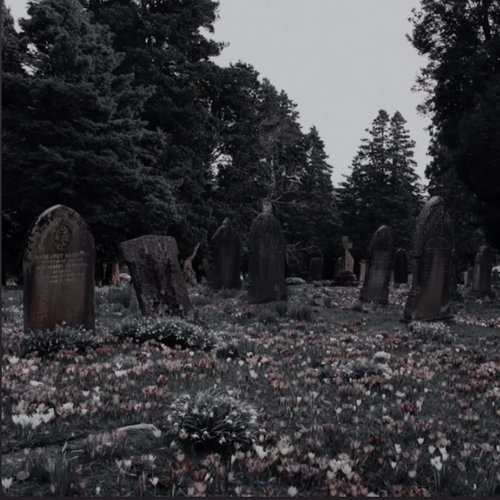 Coffin