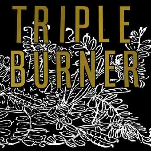 Triple Burner