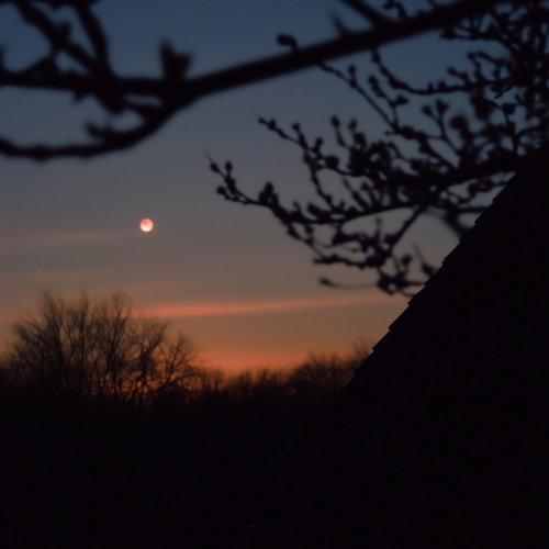 softly spoken - Single