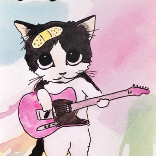 The Kitty Comp