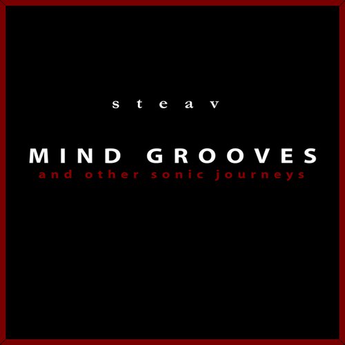 MIND GROOVES