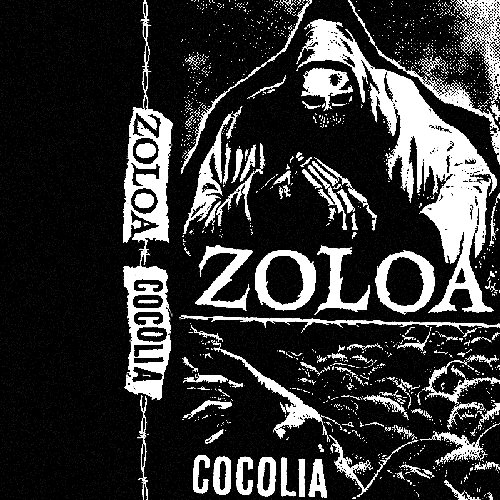 Cocolia