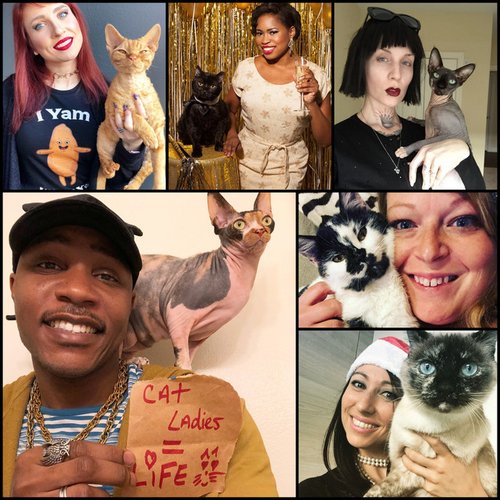 #BeautifulCatLadyWednesdays