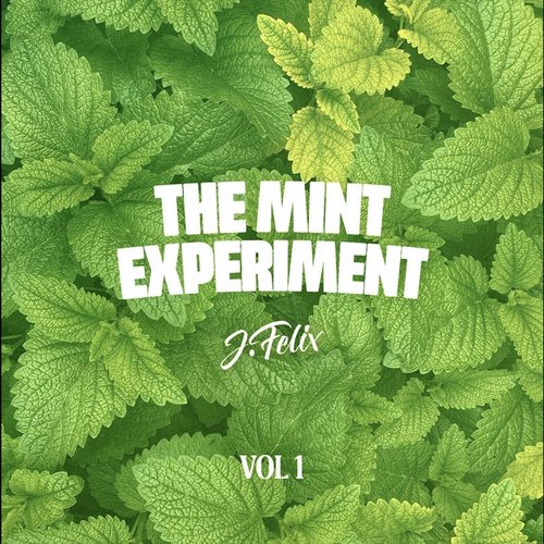 The Mint Experiment Volume 1