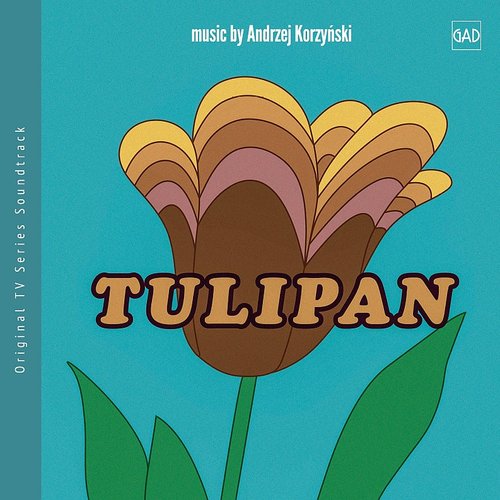 Tulipan