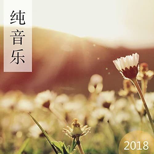 纯音乐 2018 - 最好听的安静音乐为了睡觉，冥想，瑜伽和按摩