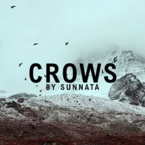 Crows