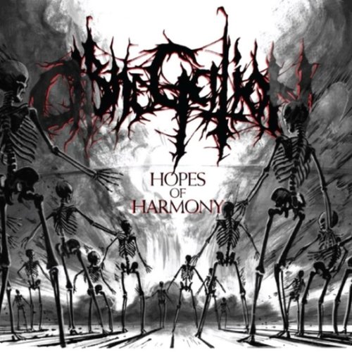 Hopes of Harmony - Single