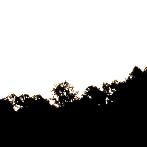 Canto Delle Balene Dallo Spazio