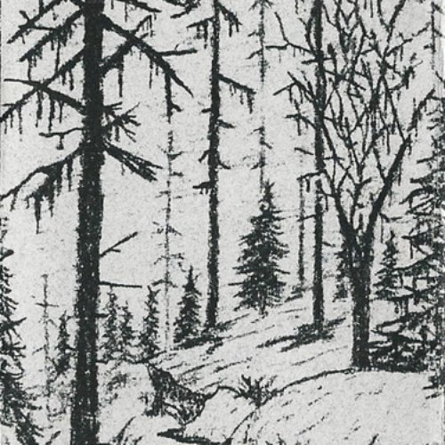 Mortes Saisons