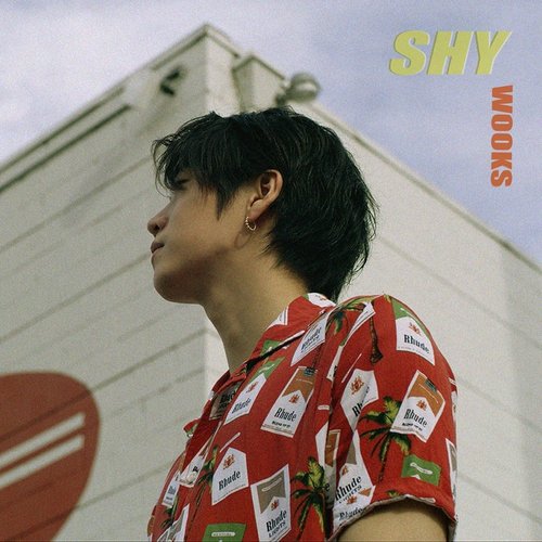 Shy (feat. Artinb) - Single