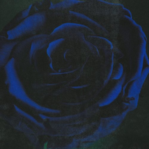 Ghost (Acoustic)