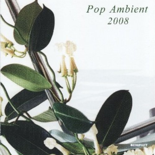 Pop Ambient 2008